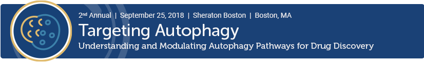 Targeting Autophagy