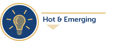 Target Identification Header