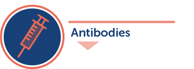 Antibodies Header