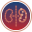 Track Icon