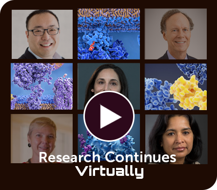 Research Continues Video